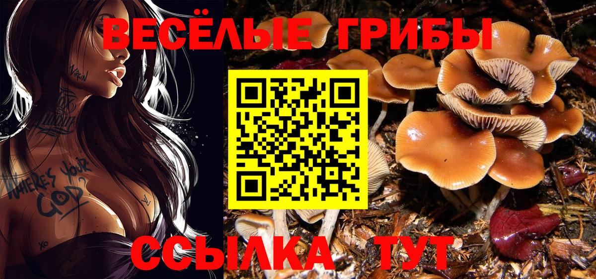 Галлюциногенные грибы Cubensis  Вход с VPN  Топки  Псилоцибиновые грибы прущие грибы 